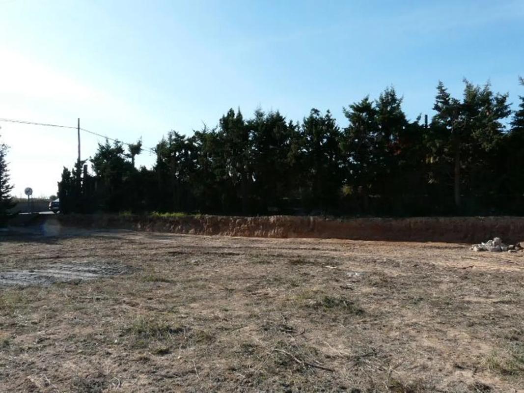Terreno en venta en Elche / Elx, Alicante photo 5