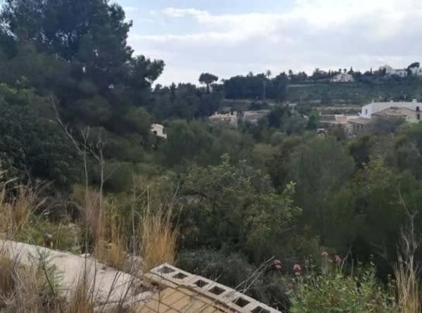 Terreno en Partida Tosal - Zona dels Castellans thumbnail 1