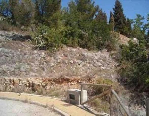Terreno en Partida Tosal - Zona dels Castellans photo 4