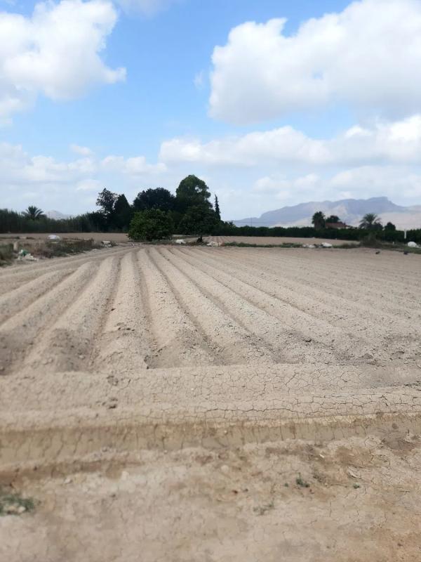 Terreno en venta en Orihuela, Alicante photo 1
