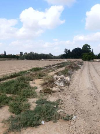 Terreno en Cv-923, km 3 photo 2
