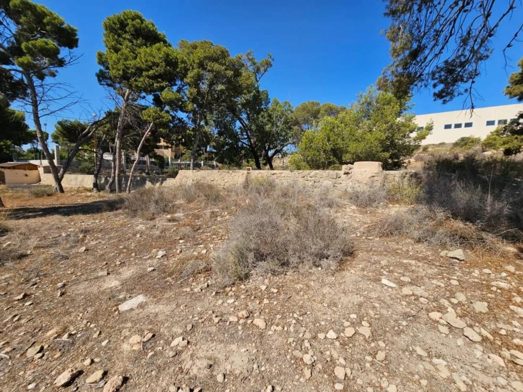 Land for sale in Alicante, Alicante photo 4