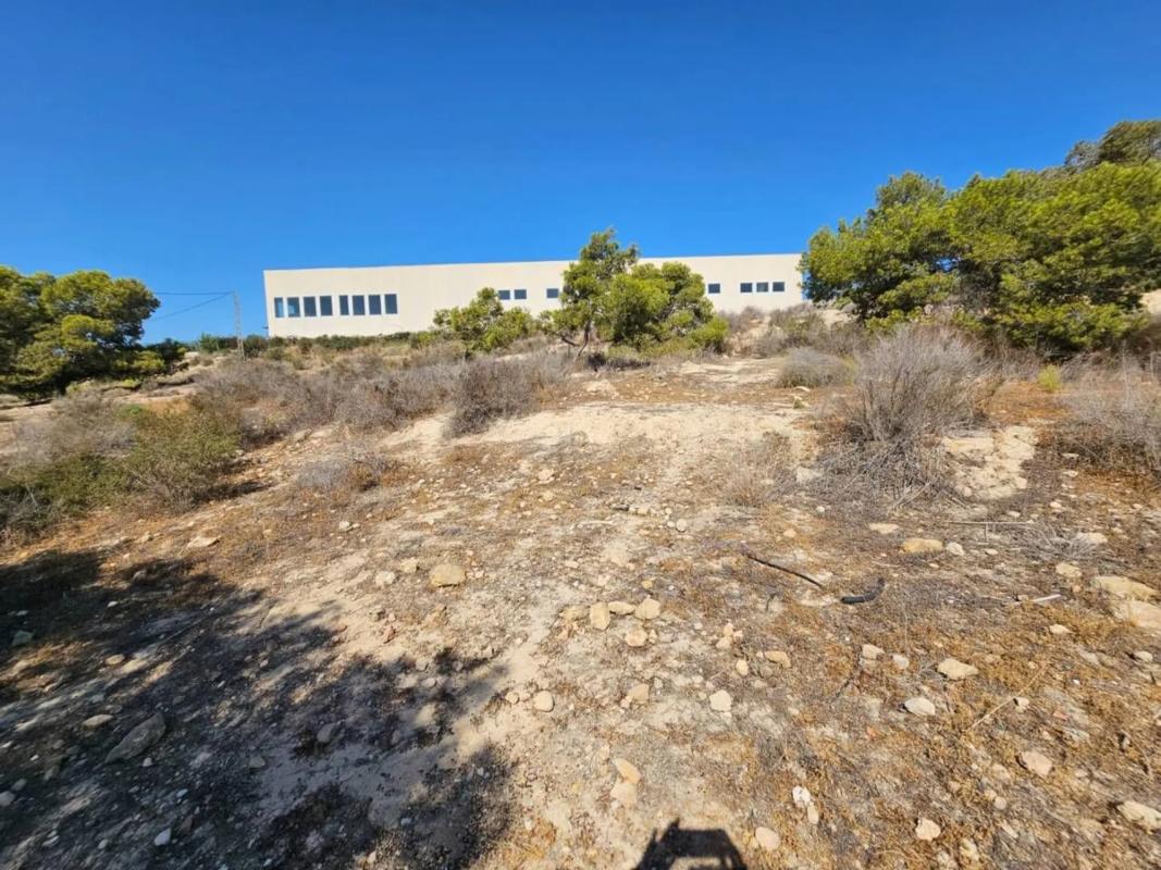 Land for sale in Alicante, Alicante photo 5
