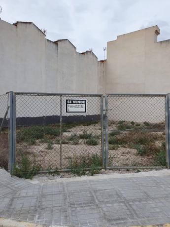 Terreno en calle Pío Xii, 43 photo 3