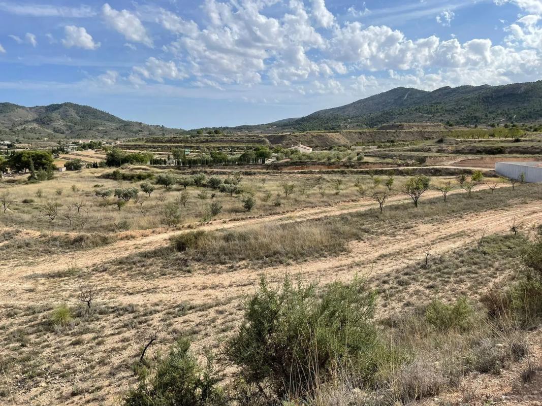 Terreno en venta en Monovar, Alicante photo 2