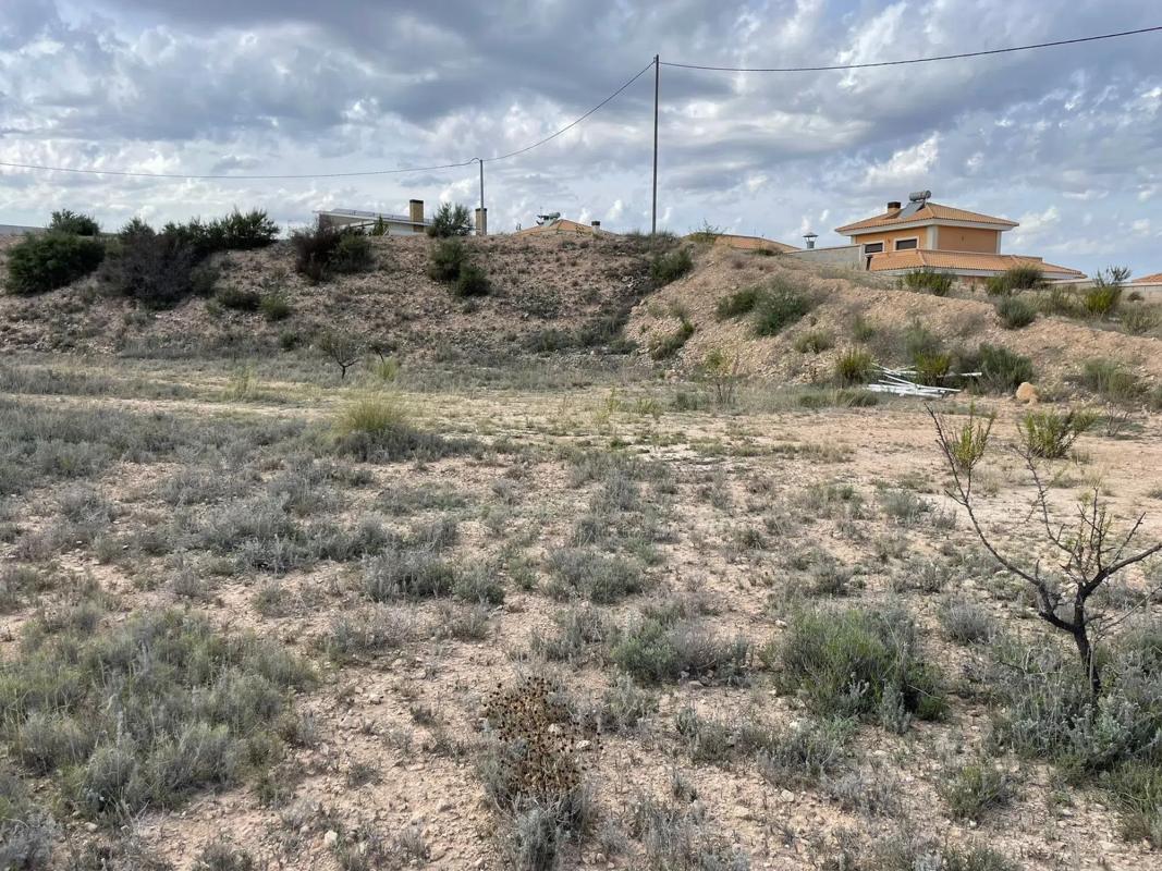 Terreno en venta en Monovar, Alicante photo 3