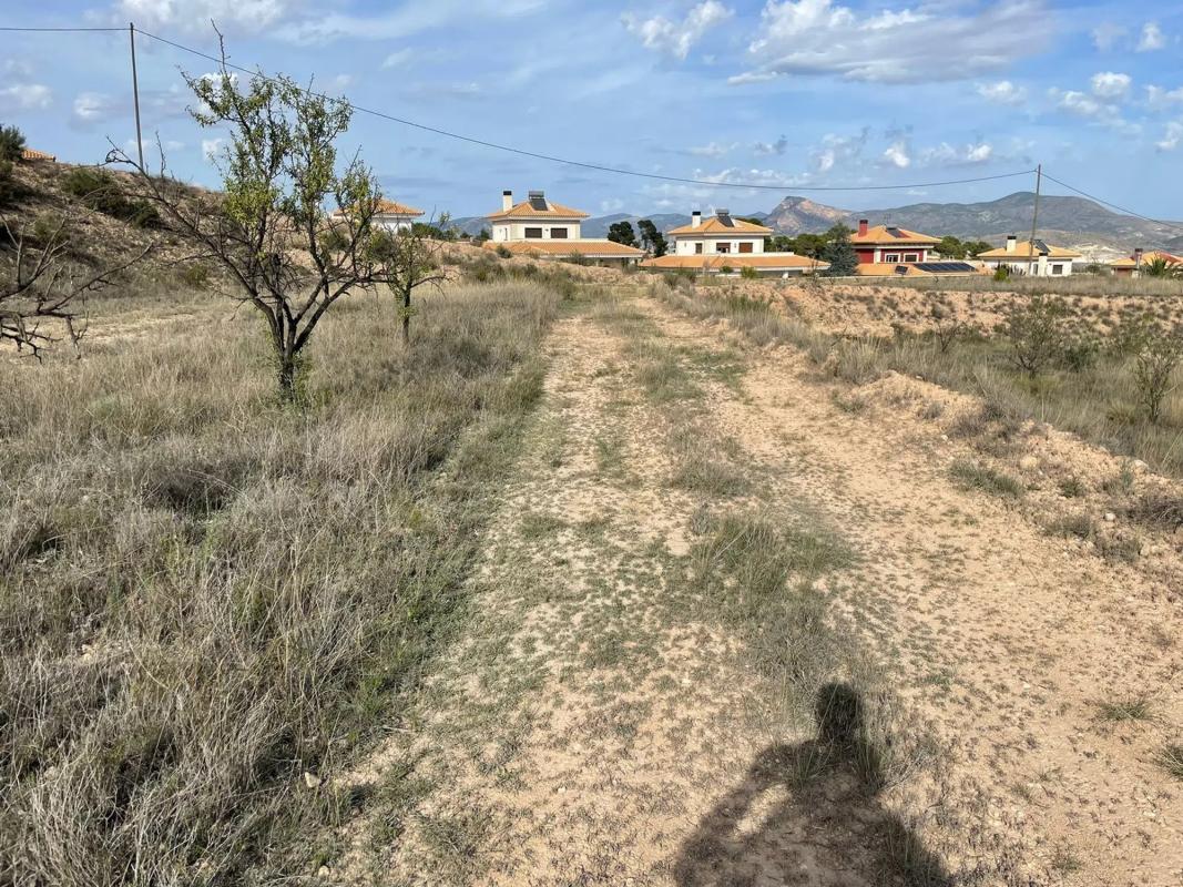 Terreno en venta en Monovar, Alicante photo 4