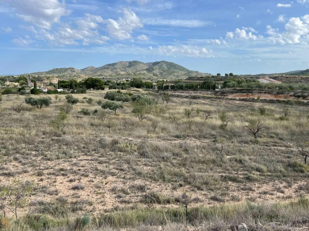Terreno en venta en Monovar, Alicante photo 5