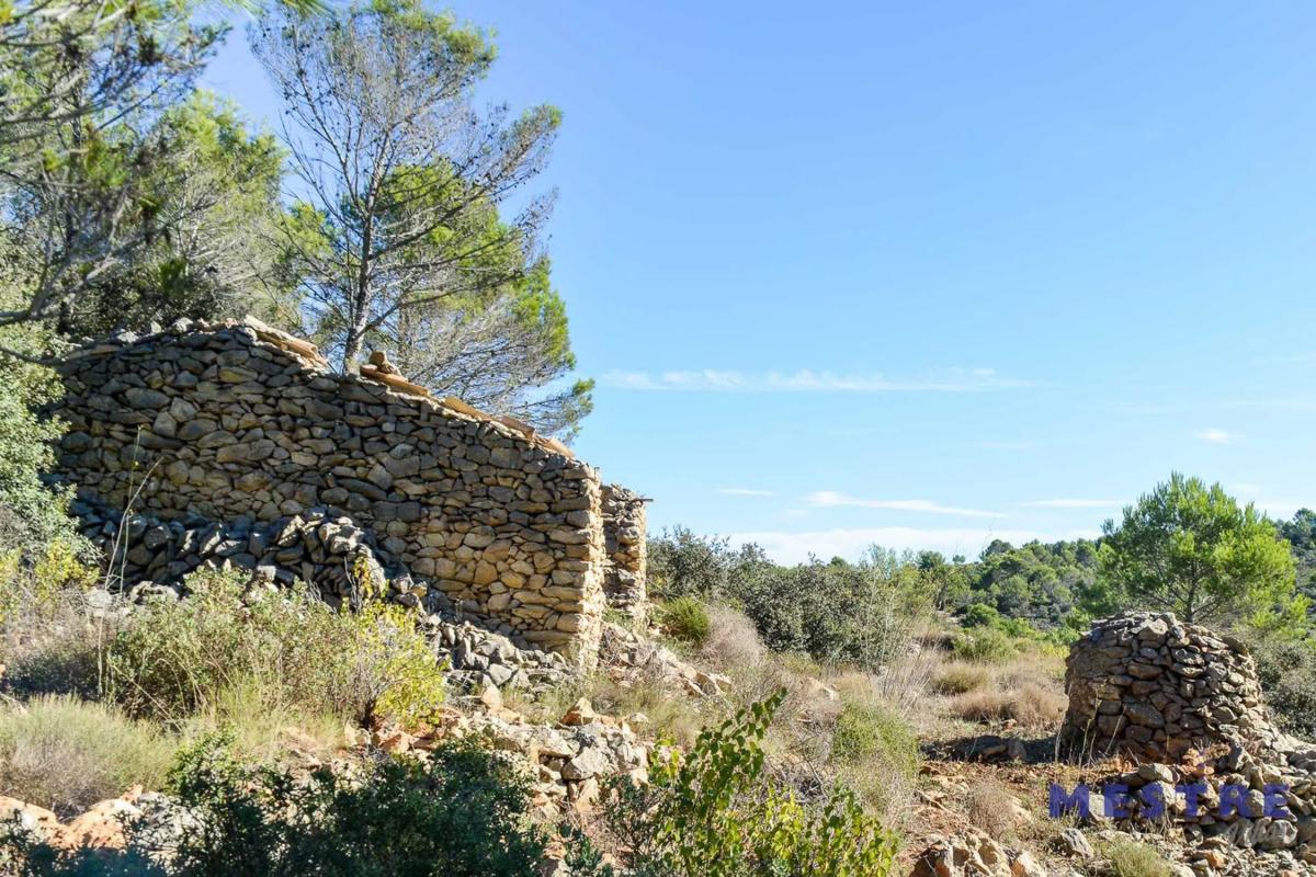 Terreno en venta en Jalón, Alicante photo 3