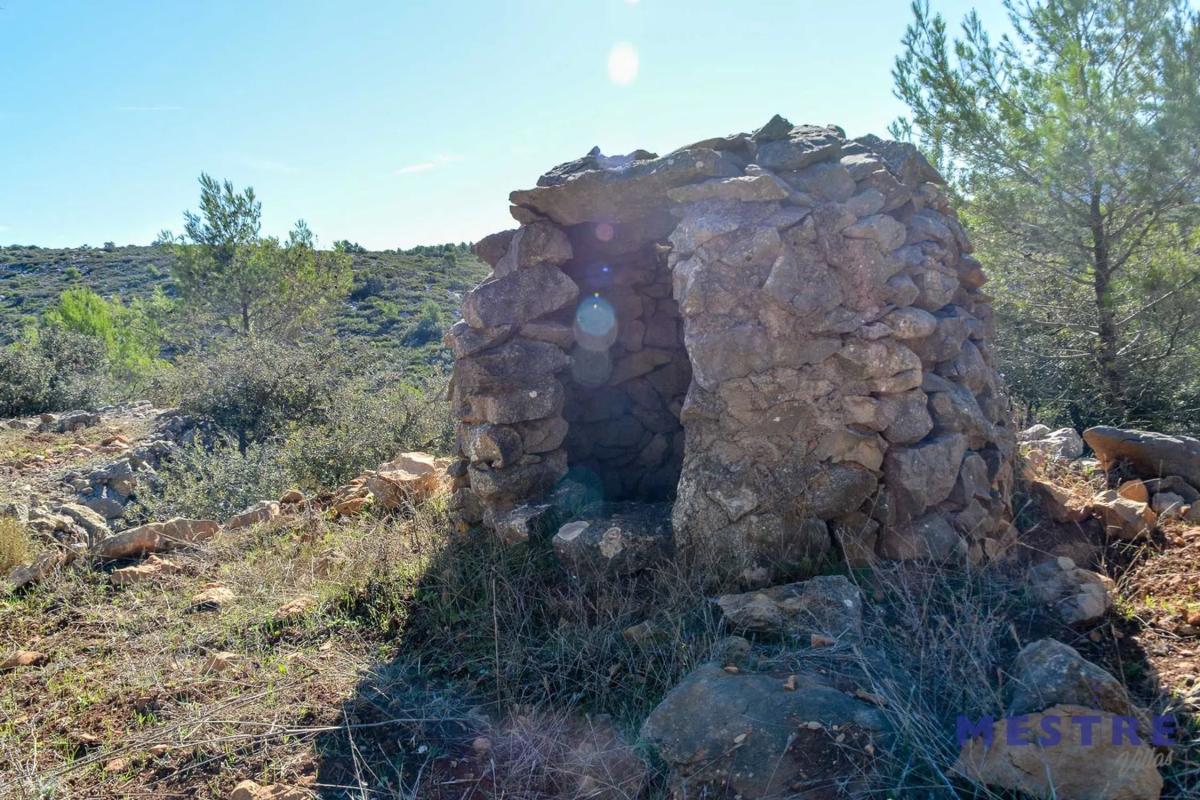 Terreno en venta en Jalón, Alicante photo 4