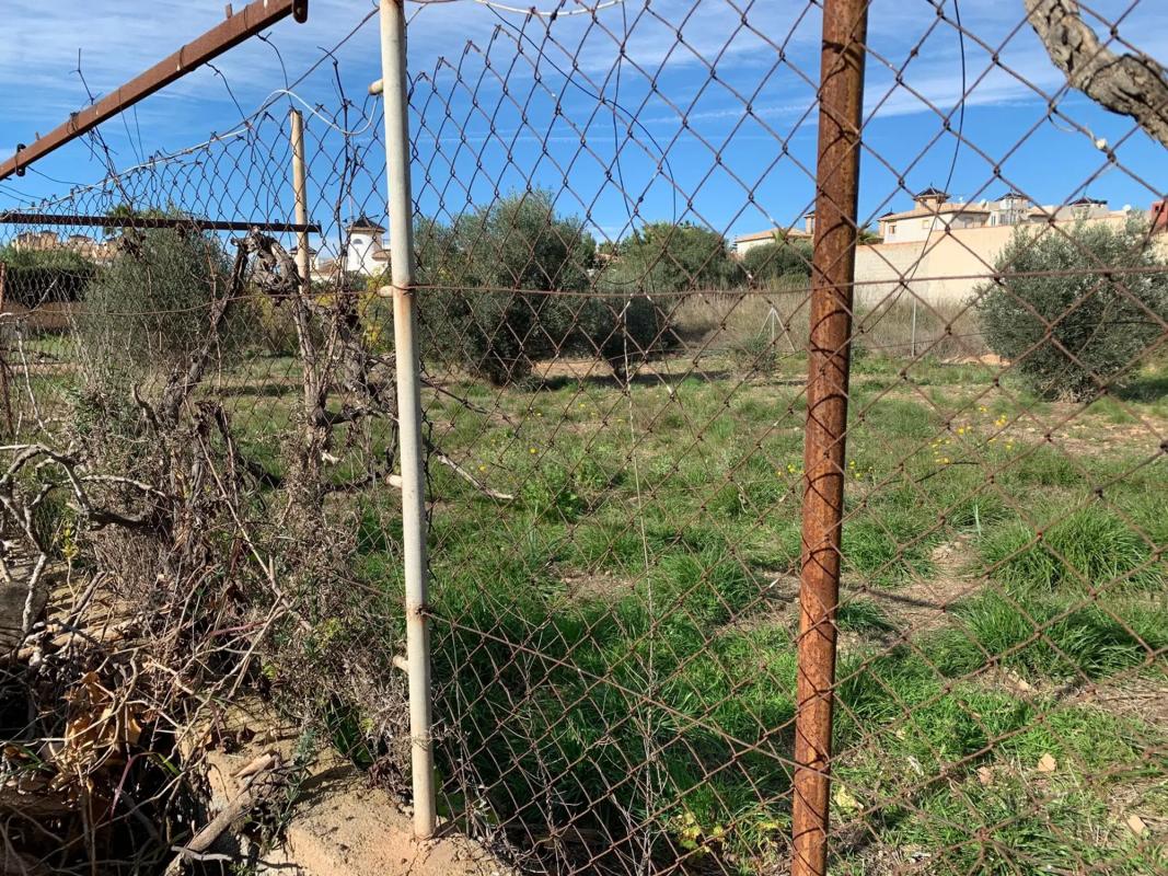 Terreno en venta en Orihuela, Alicante photo 1