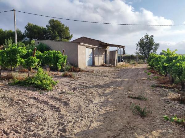 Terreno en Novelda photo 1