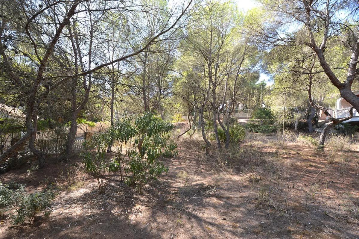 Terreno en venta en Orihuela, Alicante photo 2