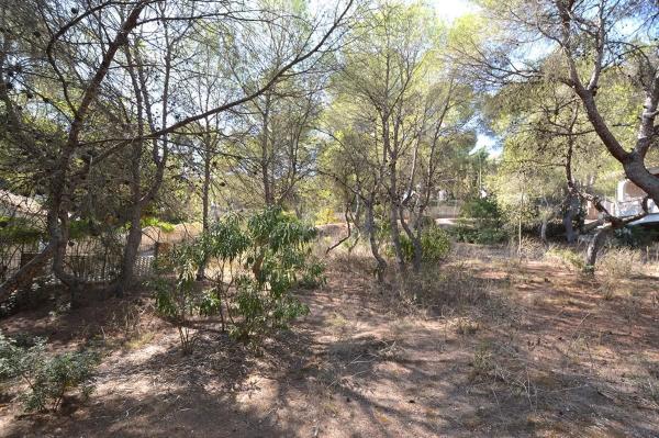 Terreno en Barrio Campoamor thumbnail 1