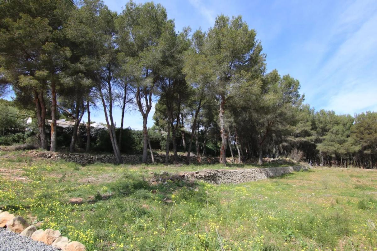 Land for sale in Teulada, Alicante photo 1