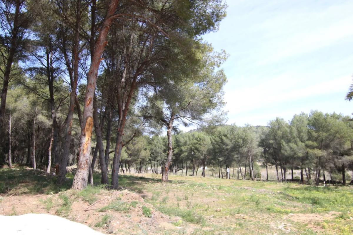 Land for sale in Teulada, Alicante photo 3