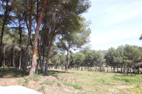 Terreno en Teulada photo 3
