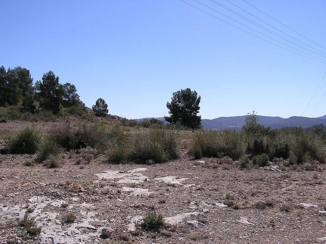 Terreno en venta en Pinoso, Alicante photo 1