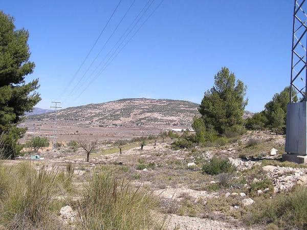 Terreno en Pinoso photo 4