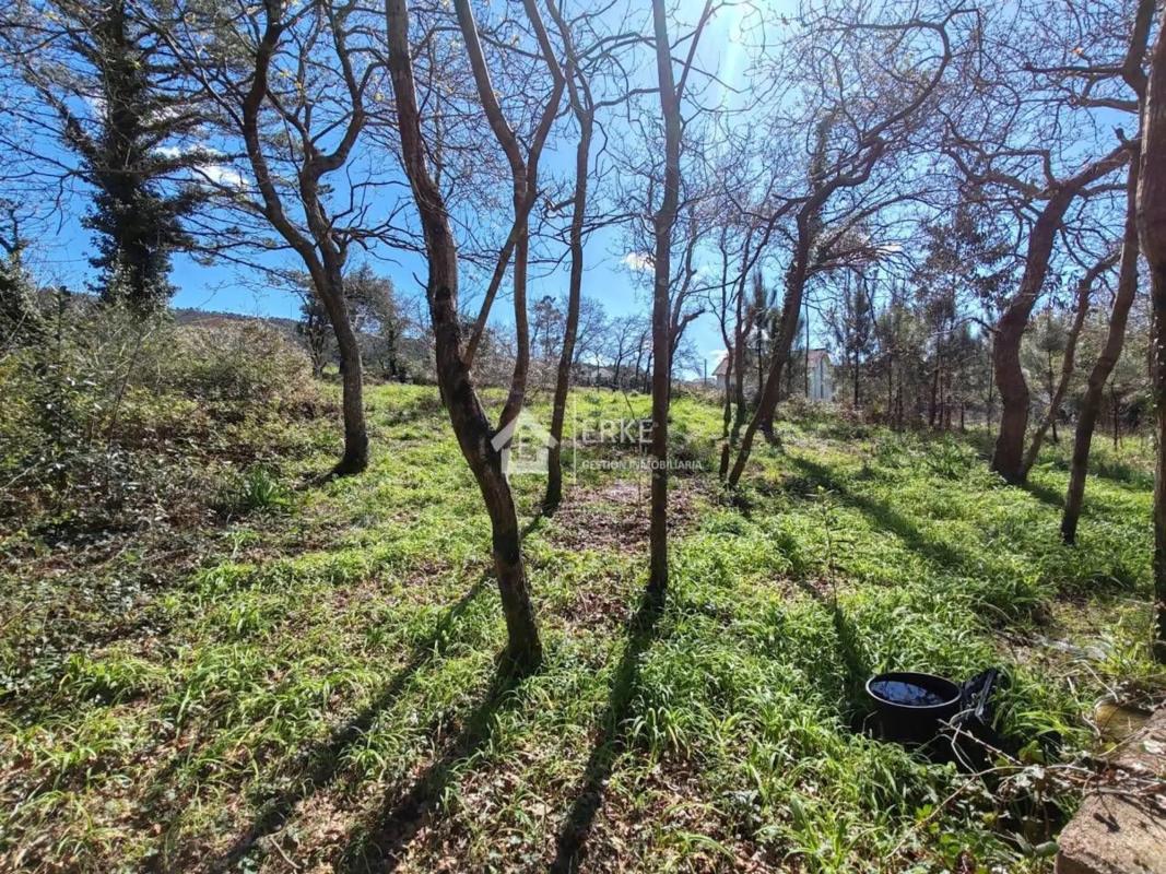 Terreno en venta en Cee, A Coruña photo 5