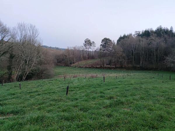 Terreno en Melide, 840 Ac photo 1