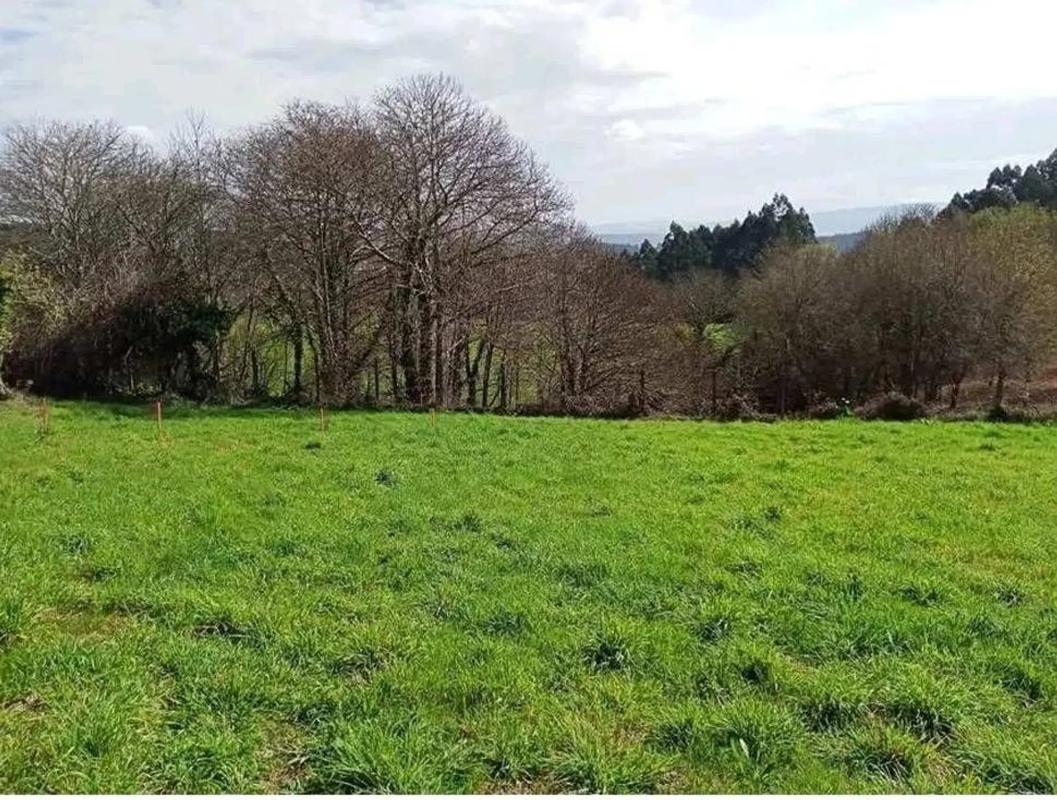 Land for sale in Brion, A Coruña photo 2