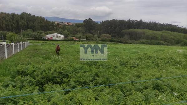 Terreno en Valdoviño photo 4