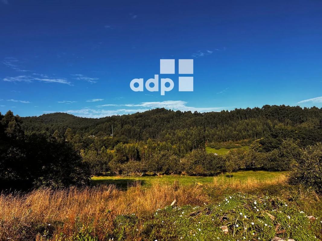 Terreno en venta en Arzua, A Coruña photo 3