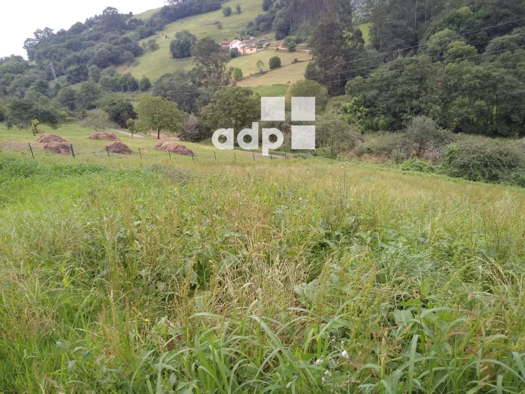 Terreno en venta en Arzua, A Coruña photo 3