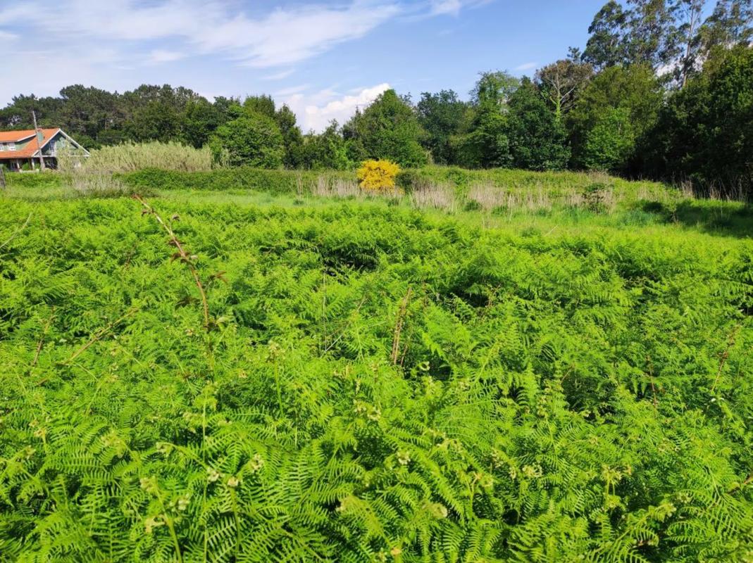 Terreno en venta en Puebla del Caramiñal, A Coruña photo 2