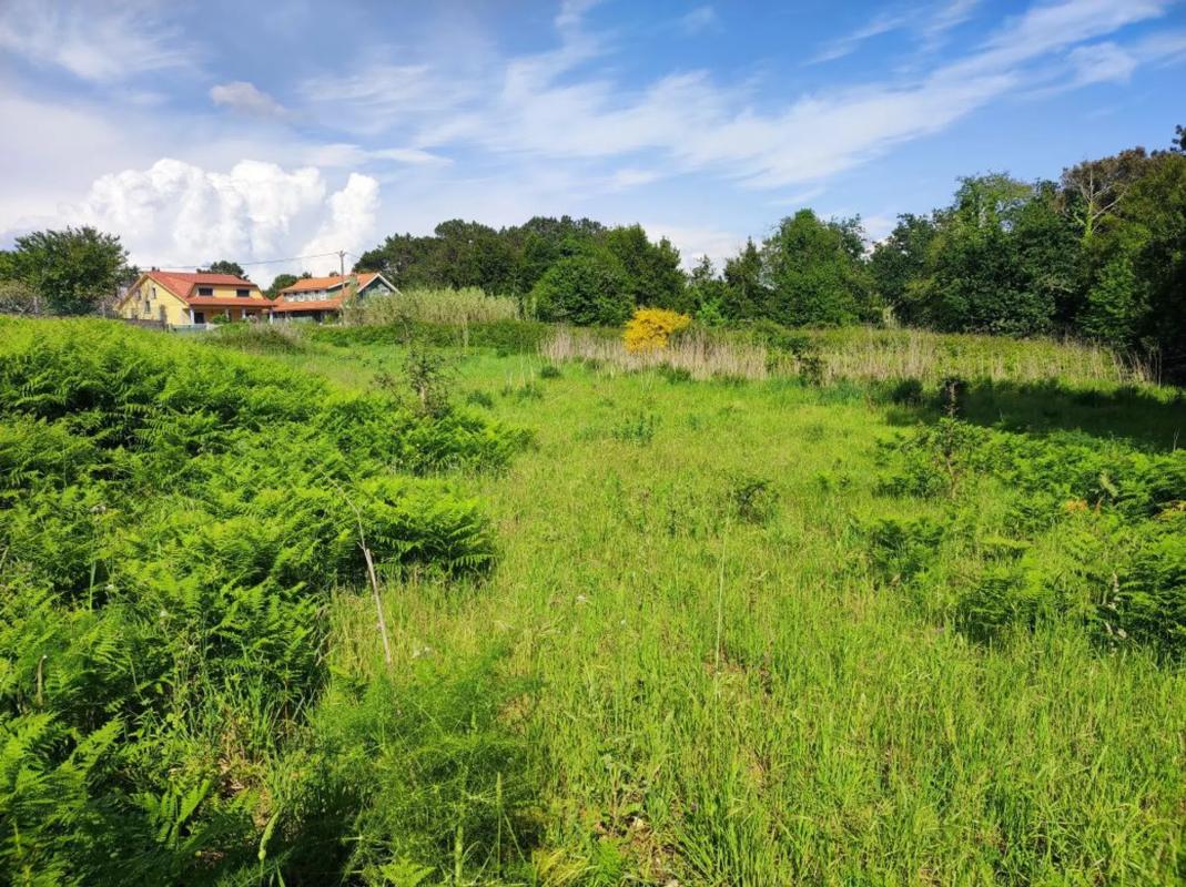 Terreno en venta en Puebla del Caramiñal, A Coruña photo 3