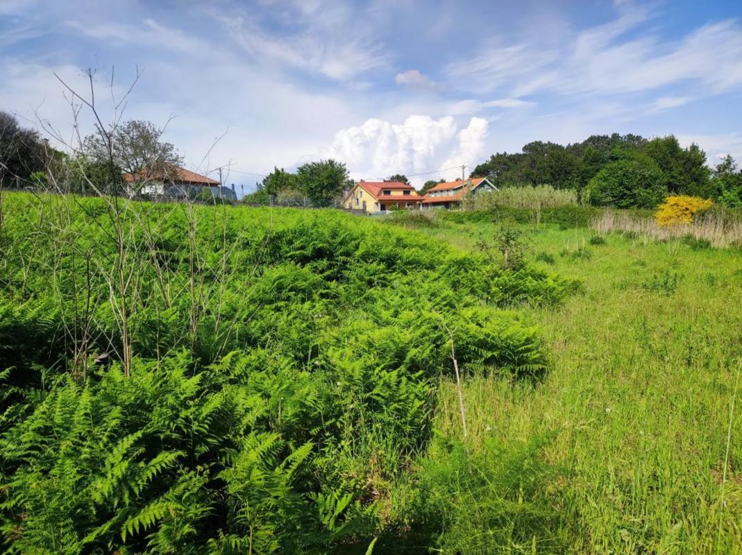 Terreno en venta en Puebla del Caramiñal, A Coruña photo 4