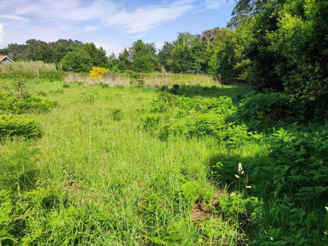 Terreno en venta en Puebla del Caramiñal, A Coruña photo 5
