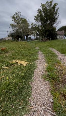 Terreno en Palmeira photo 1