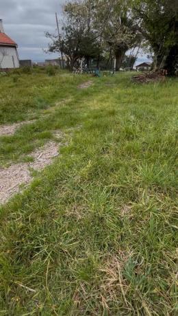 Terreno en Palmeira photo 3