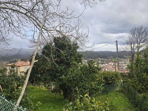Terreno en Cedeira photo 1