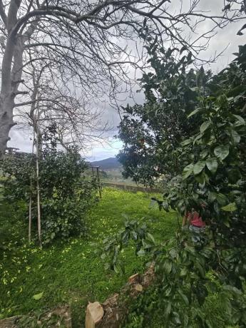 Terreno en Cedeira photo 2
