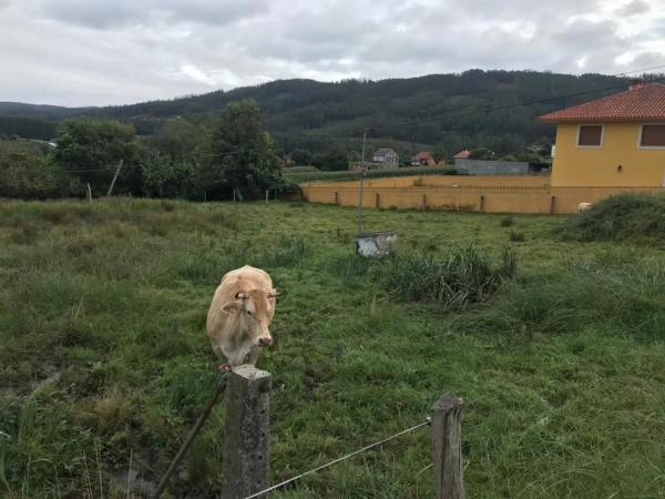 Terreno en Cp-2201, 3 photo 4