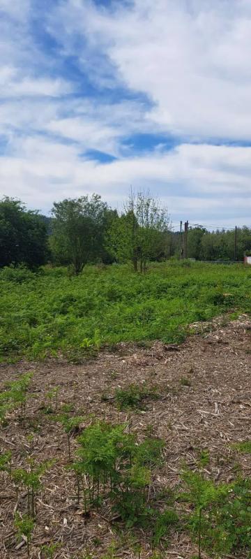 Land for sale in Fene, A Coruña photo 3