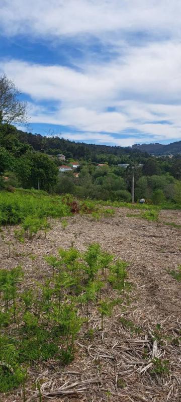 Land for sale in Fene, A Coruña photo 4