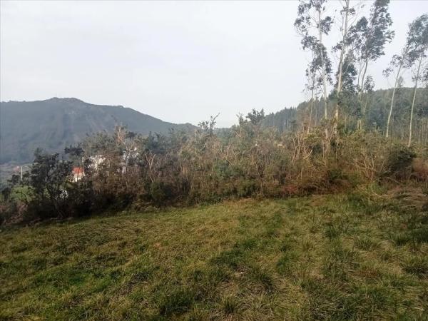 Terreno en Figueiroa photo 2