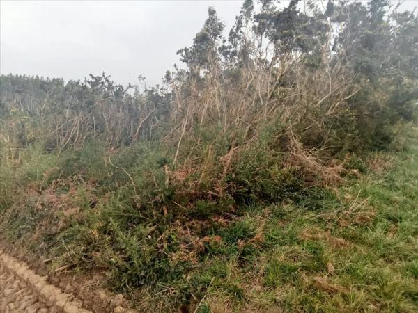 Terreno en Figueiroa photo 3