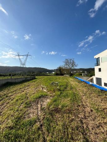Terreno en Rumbo s/n photo 4