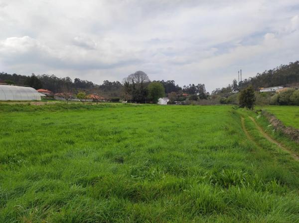 Terreno en Lugar Orro photo 1