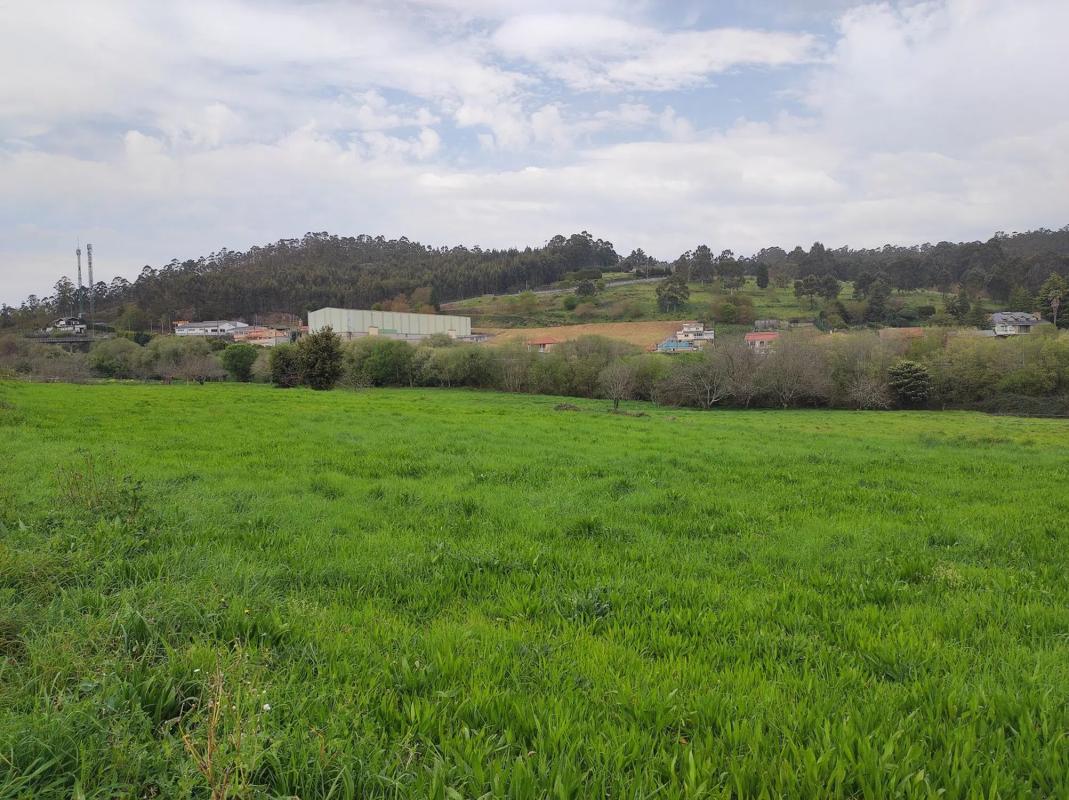 Terreno en venta en Culleredo, A Coruña photo 3