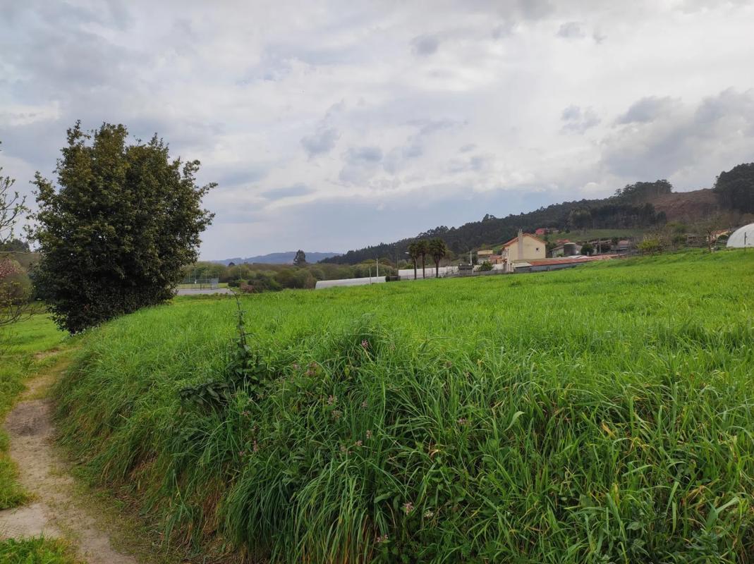 Terreno en venta en Culleredo, A Coruña photo 5