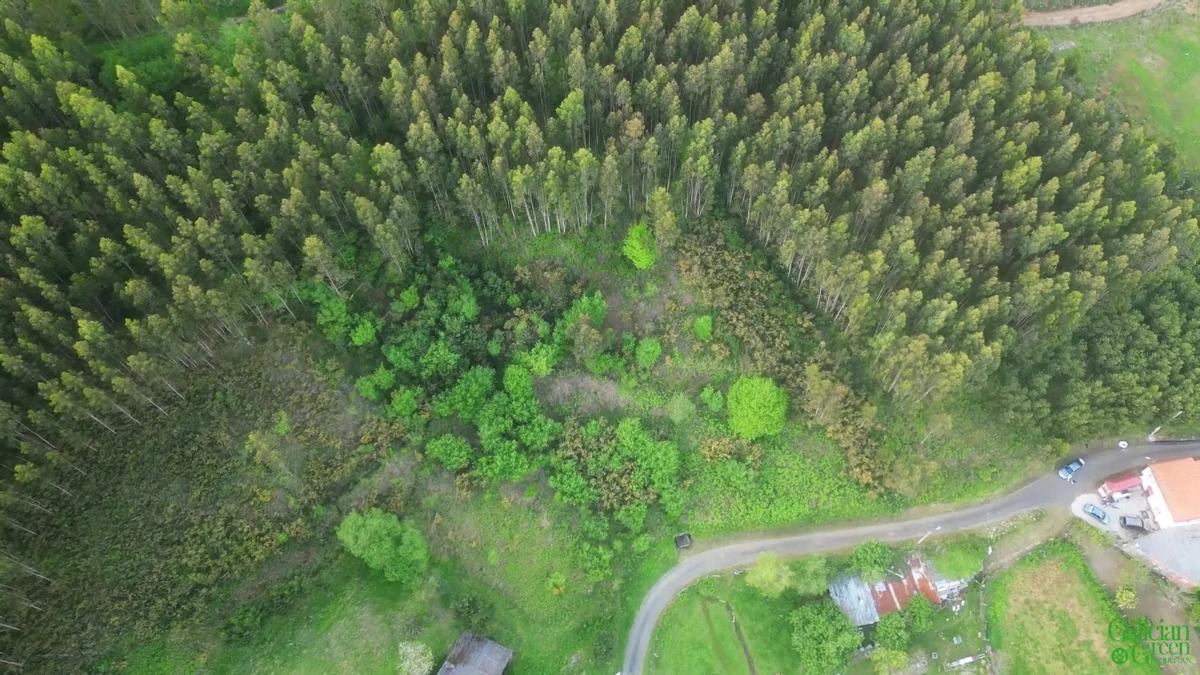 Land for sale in Cedeira, A Coruña photo 3