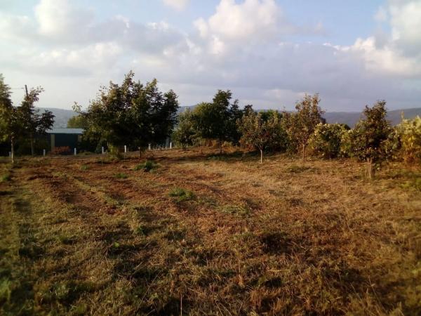 Terreno en camino Campaíña, 153 photo 3