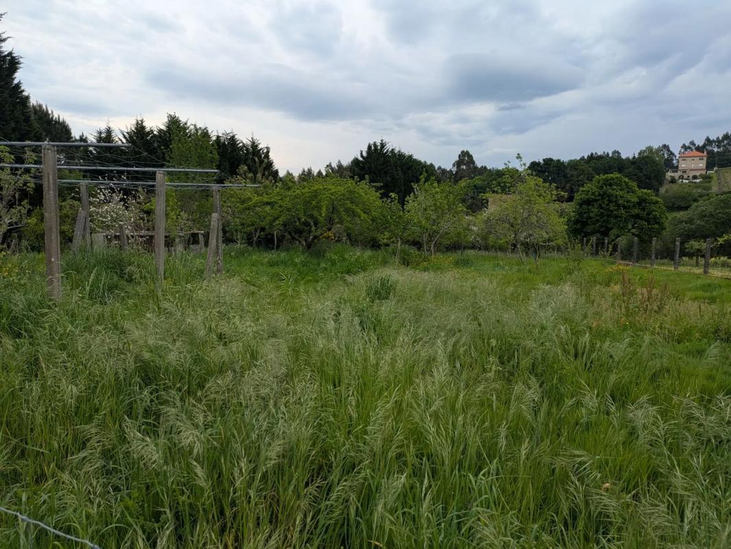 Terreno en venta en Teo, A Coruña photo 1