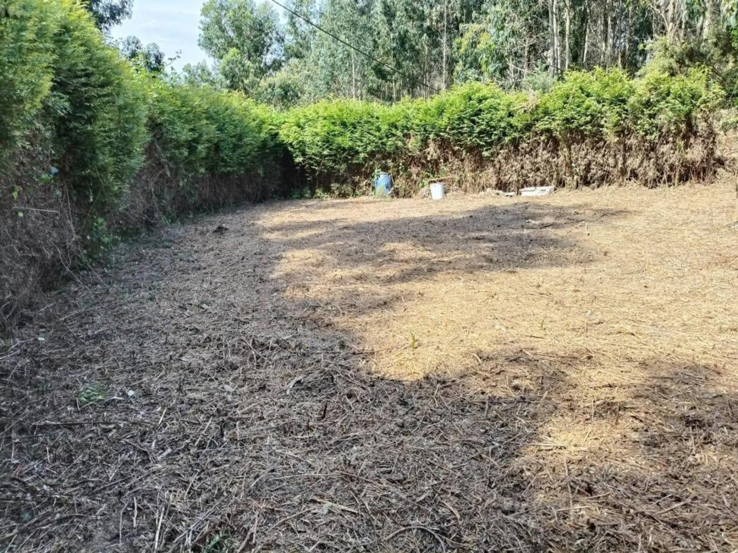Terreno en venta en Cariño, A Coruña photo 2